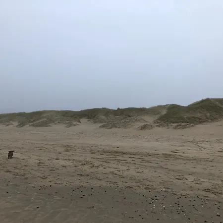 Chic Beachside W Sauna, Cleaning Included *